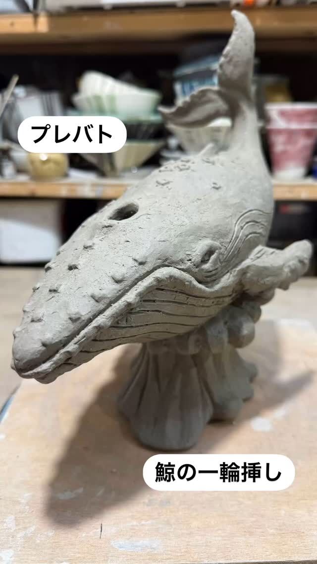 ◆潮吹きクジラの一輪挿し◆
お手本制作の過程、最後にご紹介させて頂きます。
潮吹きクジラの潮をカスミ草で表現するというアイデアがとても良かったですよね。
花をいけたらまた作品の表情が変わるというのも、実際に使える陶器ならではの面白さなので、それをイメージしながら作られたことが素晴らしいなと思いました。
水を入れる部分が平たくて浅かったので水替えの際運ぶ時にこぼれそうだったのと、花をさせる長さが短かったのでボリュームがある花だと倒れやすく生けづらい点をお手本では変えてみました。
潮を花筒にして別で作ることでクジラと取り外し可能な様にして水換えを楽に、筒状なので倒れ難く生けやすくしました。
また波を作り、波に乗るクジラにする事で動きをだし、カスミ草を潮吹きの飛沫に見立ててよりダイナミックに、カスミ草がさらに映える様にとイメージして躍動感を出しました。

#プレバト #tbs #クジラ  #花瓶 #くじら #かすみ草 
#陶芸教室 
#ceramic#ceramicart#器  #art #tableware#handcrafted #陶芸 #craft  #陶芸  #うつわ好き #工芸 #陶器 #陶磁器#うつわ #焼き物 #陶芸家 #artist #artwork #japanesecraft #japaneseart #japanesepottery #pottery #前沢幸恵 #maezawayukie